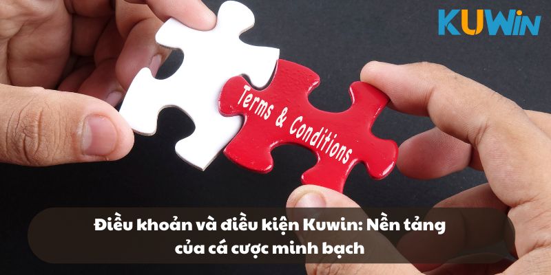 Tổng quan về chính sách hiện có tại Kuwin
